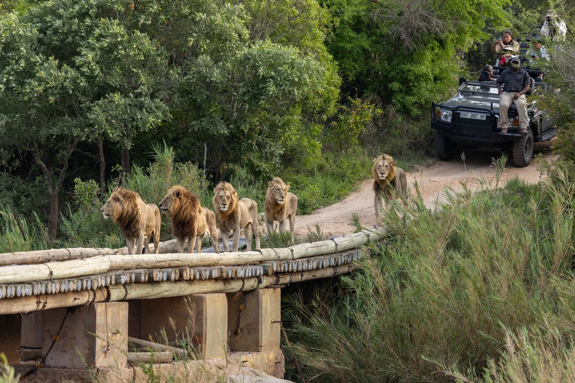Lion Sands River Lodge